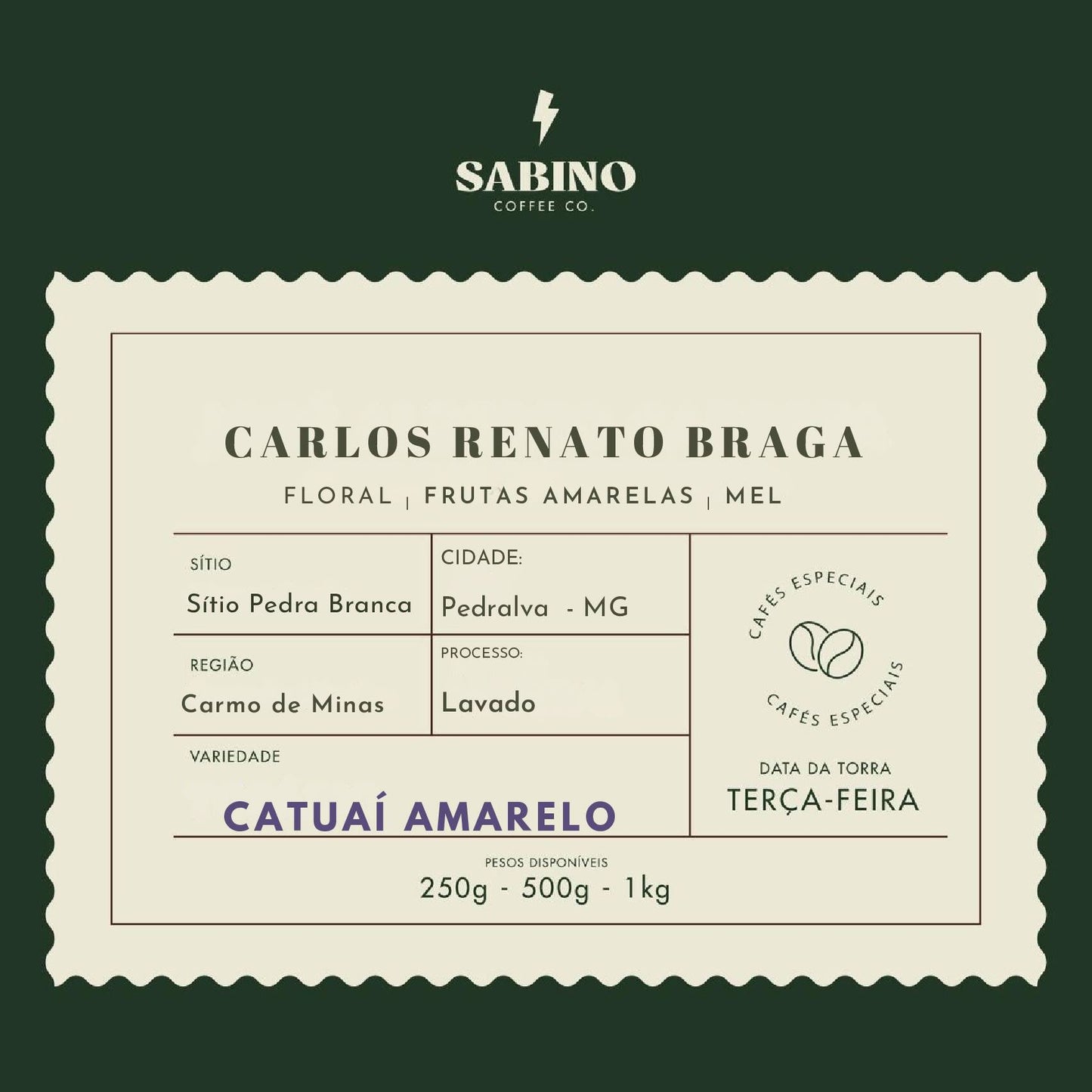 Carlos Renato Braga