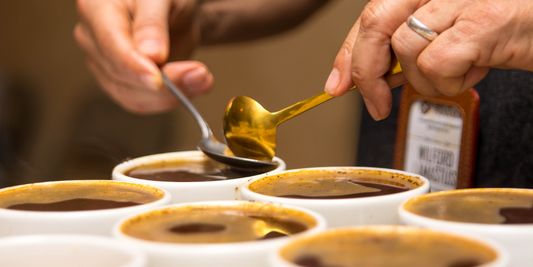 O que é um café 84 pontos - e por que isso importa