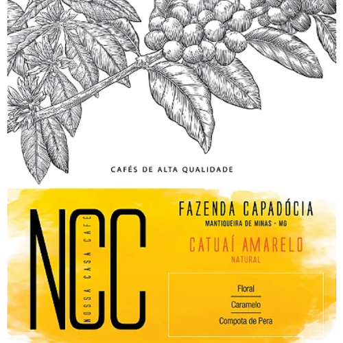 CATUAÍ AMARELO - FAZENDA CAPADÓCIA / MANTIQUEIRA DE MINAS / MG