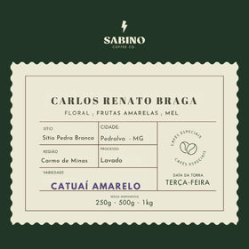 Carlos Renato Braga