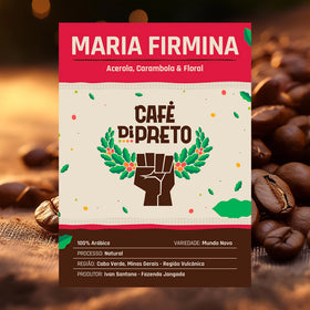 Maria Firmina